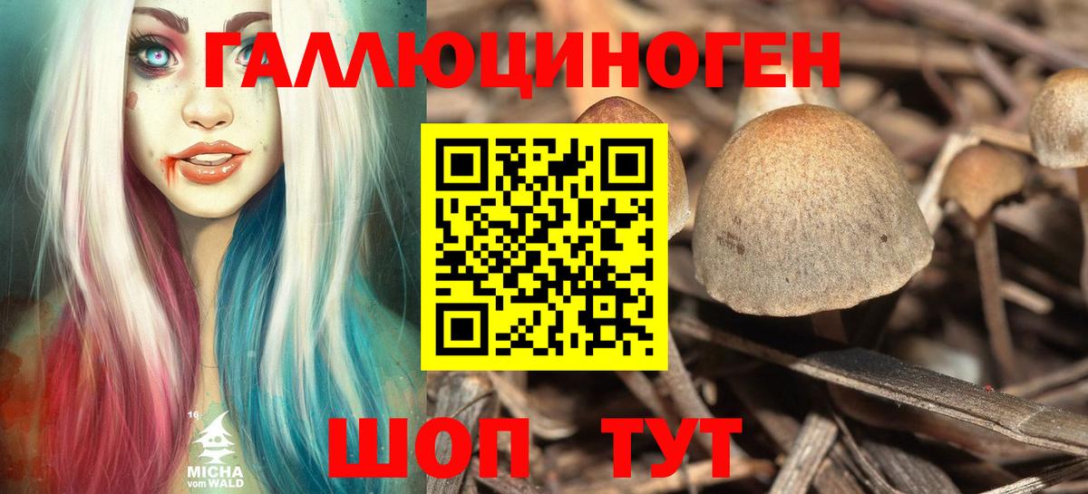 Псилоцибиновые грибы ЛСД  Галлюциногенные грибы ЛСД  Невинномысск  Вход с VPN 