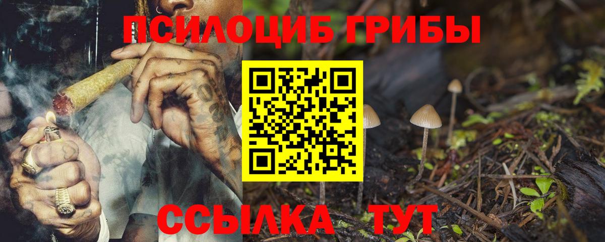 Псилоцибиновые грибы мухоморы Невинномысск